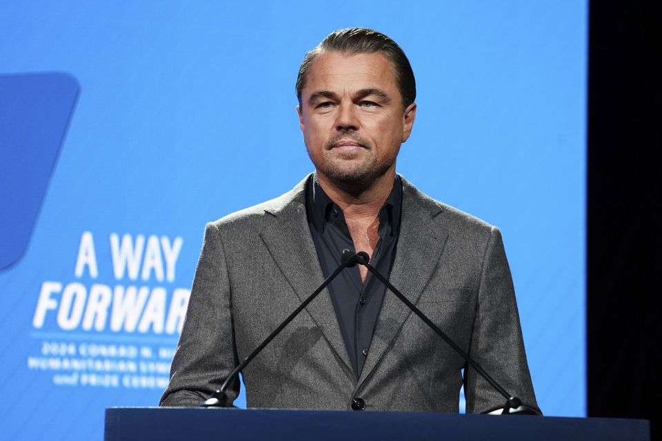 Actor and environmentalist Leonardo DiCaprio has backed Kamala Harris (Jordan Strauss/AP)