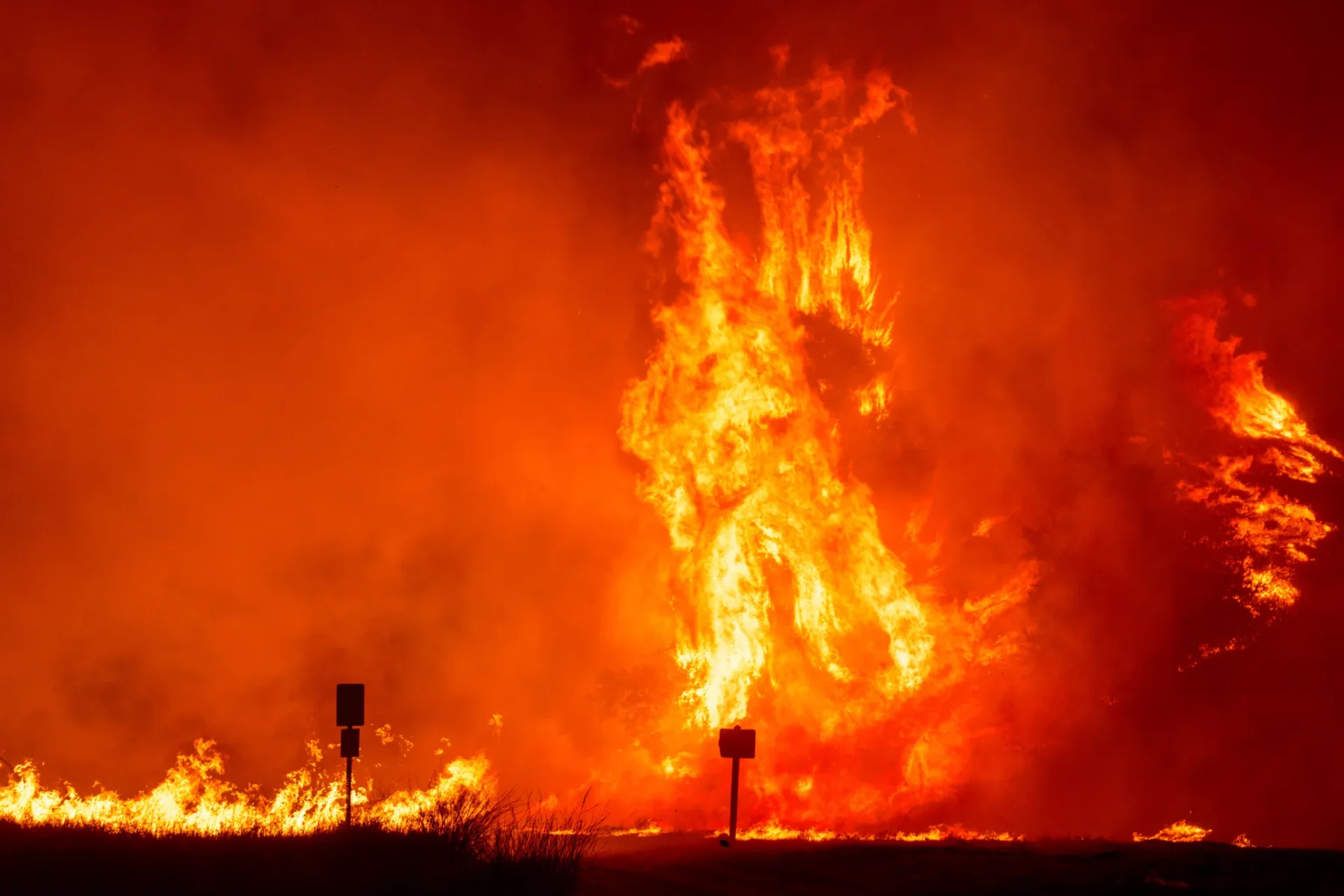 Flames by the Hughes Fire burns trees in Castaic, Calif., Wednesday, Jan. 22, 2025. AP Photo/Ethan Swope